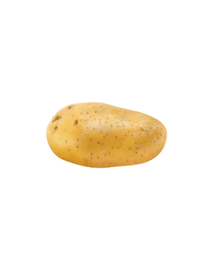FRAMA